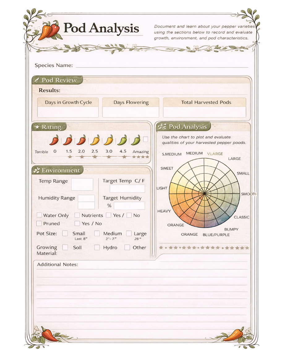 Packet template preview